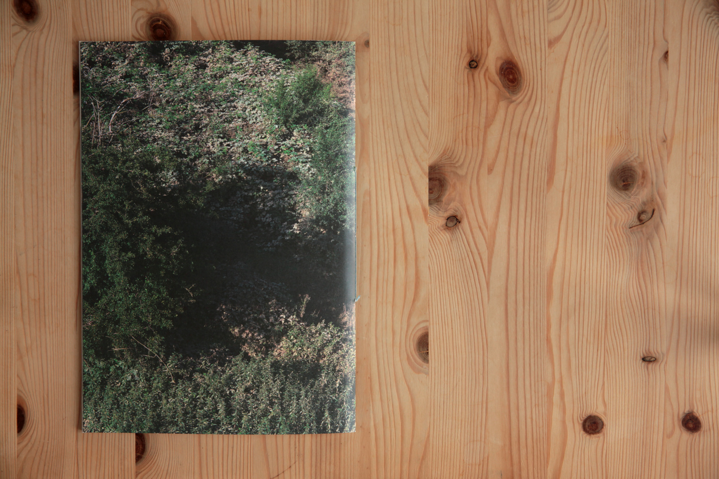 book back cover